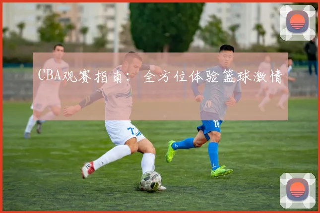 CBA观赛指南：全方位体验篮球激情