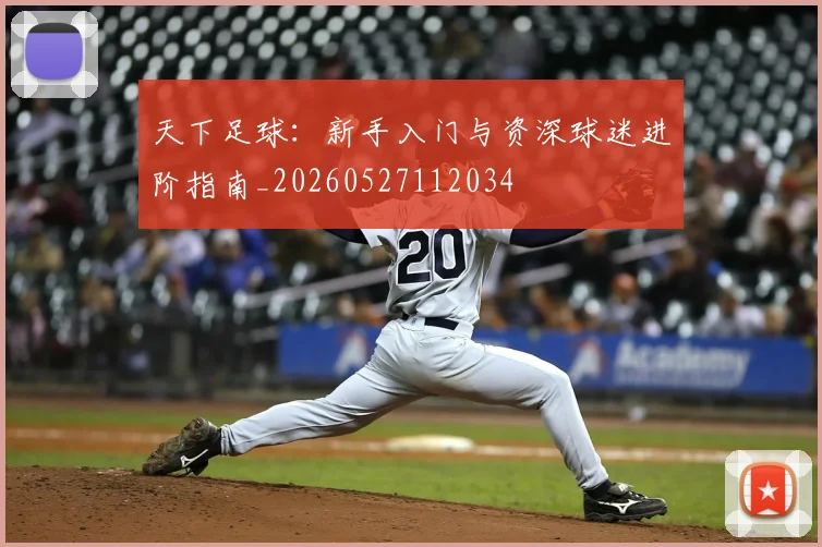 天下足球:新手入门与资深球迷进阶指南_20260527112034