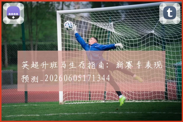 英超升班马生存指南:新赛季表现预测_20260605171344