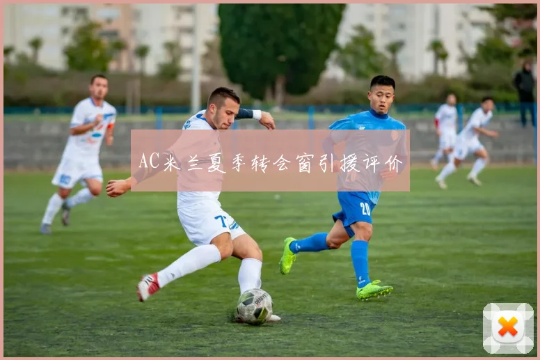 AC米兰夏季转会窗引援评价
