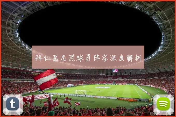 拜仁慕尼黑球员阵容深度解析