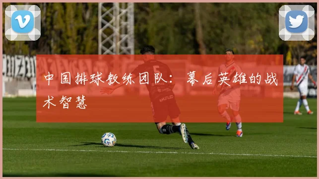 中国排球教练团队:幕后英雄的战术智慧