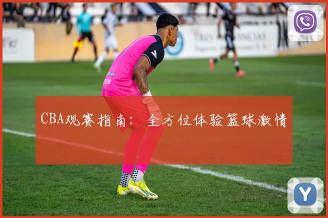 CBA观赛指南：全方位体验篮球激情